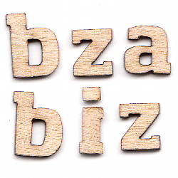David Bizer