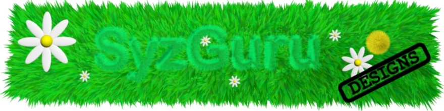 SyzGuru11