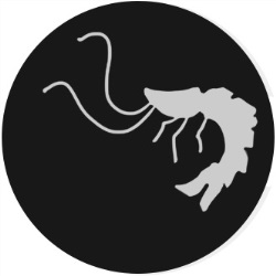 Silver Shrimp