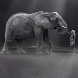 Artists Against Ivory